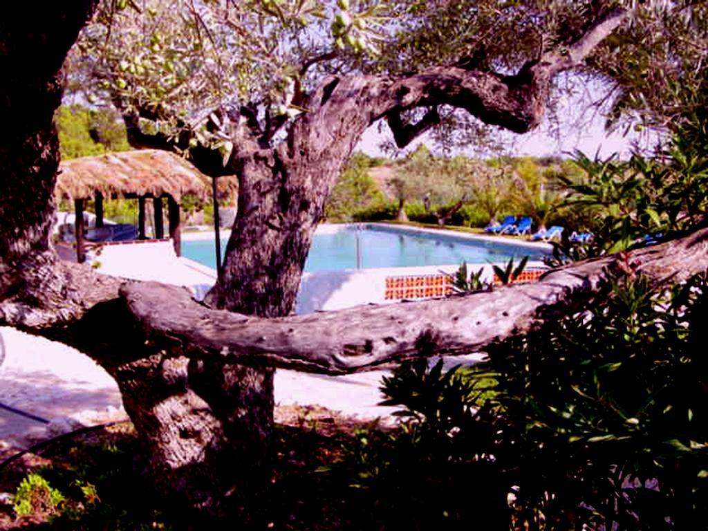 מלון ל'אמפולה The Sea Garden מראה חיצוני תמונה